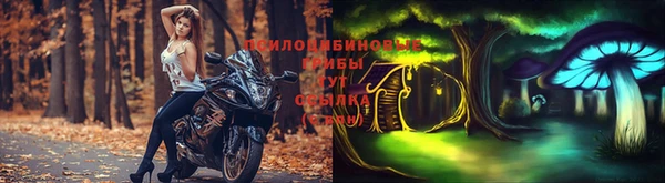 ешки Осинники