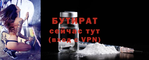 сатива Новодвинск