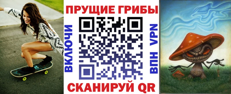 Псилоцибиновые грибы Psilocybe  kraken сайт  Алексеевка 