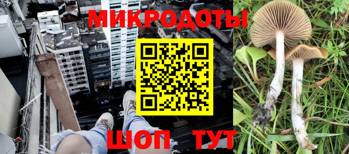Галлюциногенные грибы Psilocybe  Псилоцибиновые грибы GOLDEN TEACHER  Алексеевка 