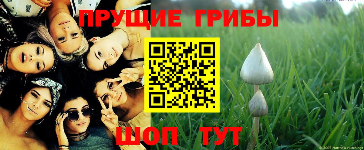 Псилоцибиновые грибы GOLDEN TEACHER  Псилоцибиновые грибы прущие грибы  Вход с VPN  Алексеевка 