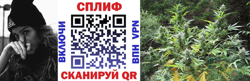 Канабис планчик  Алексеевка 